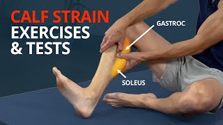 Calf Strain Rehab Exercises and Tests Gastrocnemius or Soleus [upl. by Ettennyl]