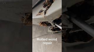 Rotted wood repair carpentry painting wood woodrepair howto tipsandtricks diy shortsfeed [upl. by Suoivatram]