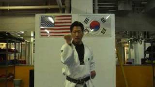 Taekwondo 5 Basic Blocks [upl. by Anders]