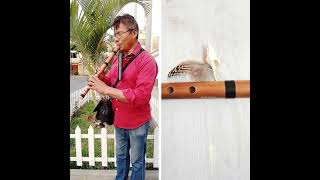 Quenacho Flute  Key in D flutelovers peruvianmusic [upl. by Zimmermann]