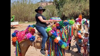 Semana Santa 2023 Jaltepec Oaxaca HD [upl. by Akemak]