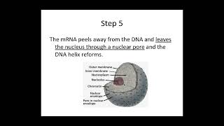 A level Biological Molecules  Learn the ENTIRE topic in this video AQA A level Biology Revision [upl. by Ynwat]