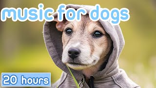 NO ADS Music for Dogs FastActing Dog Relaxation Therapy Sounds [upl. by Tsan561]