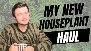 Houseplant HAUL  Fun Facts amp Plant Care Tips 💦🪴 [upl. by Avehsile151]