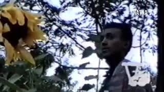 eritrean music yihdego gebremedhin yeEyntey [upl. by Goodspeed567]