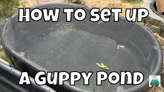 How to set up a Guppy Pond [upl. by Atteniuq557]