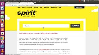 How to change name on spirit airlines tickets  guide  tutorial [upl. by Iiette]