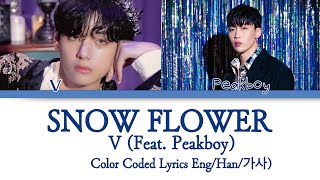 BTS V Snow Flower Lyrics feat Peakboy 방탄소년단 뷔 Snow Flower 가사 Color Coded Lyrics [upl. by Atterbury435]