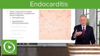 Endocarditis Definition Pathology Classification amp Diagnosis – Infectious Diseases  Lecturio [upl. by Ivel383]