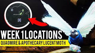 Quagmire amp Apothecary Lucent Moth Locations Week 1  Destiny 2 Witch Queen [upl. by Bevin]