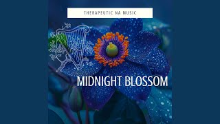 Midnight Blossom [upl. by Oribelle]