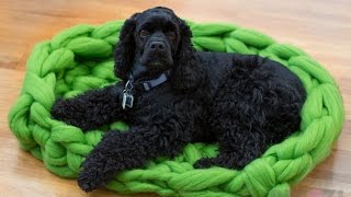 HAND CROCHET A MERINO WOOL DOG BED 30 MINUTES BECOZI [upl. by Liahkim]