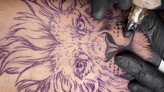 Lion tattoo  Time lapse [upl. by Manuela]