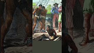 The Primary Origins Of Slavery [upl. by Oahc452]