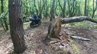 TET France section 7 BMW 1200 GS and KTM 390 Adventure offroad [upl. by Enaud]