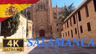 DRIVING SALAMANCA Province of Salamanca Castile and León SPAIN I 4K 60fps [upl. by Sigfried817]