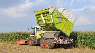 Claas Jaguar 900 Fieldshuttle  Loonwerken De Bruyne  mais 2013 [upl. by Gert]