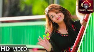 Qand Agha Sakhi amp Rahim Surood  Dil Ha OFFICIAL VIDEO [upl. by Aicirtac]