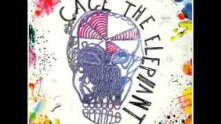 Cage The Elephant  Drones In The Valley  Track 7 [upl. by Ocinemod]