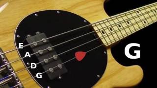 Bass Tuner  Standard Bass Tuning E A D G 4 Strings [upl. by Yrtnahc]