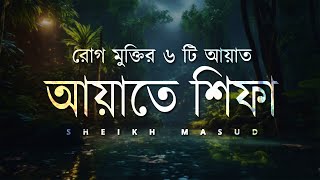 Ayat E Shifa Beautiful Recitation  আয়াতে শিফা  রোগ মুক্তির ৬ টি কুরআনের আয়াত  Sheikh Masud [upl. by Atiuqrahs939]