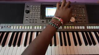 Ruger  Dior Instrumental  Piano Cover  Thrill On Key [upl. by Ferdinana]