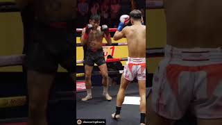 The Spinning Back Kick Breakdown mma tutorial muaythai martialarts [upl. by Henning]