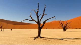 The Wind that Stirs in the Kalahari [upl. by Frannie]