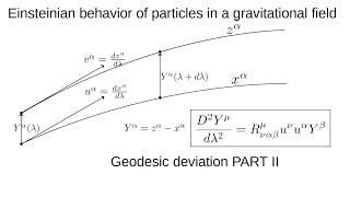 Einsteinian behavior of particles in a gravitational field Part II [upl. by Llig575]