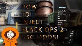 Black Ops 2 Tutorial  How To Inject amp Use GSC Mods WORKS FOR 119 [upl. by Lowson]