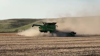 Pinto Bean Harvest 2 [upl. by Einafets]