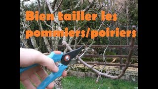 taille dhiver des pommiers et poiriers [upl. by Niletak]