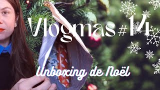 Vlogmas 14  5 recommandations livresque amp Unboxing de Noël 🎁 jurassicjones ❤️ [upl. by Verina]