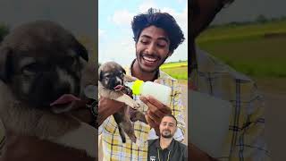 चलती🏍️गाड़ी में kutta🐶बनना funny dog new [upl. by Dasha]