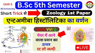 एन्टअमीबा हिस्टॉलिटिका Antamoeba histolylica entamoeba histolyticaentamoeba histolytica life [upl. by Annal]