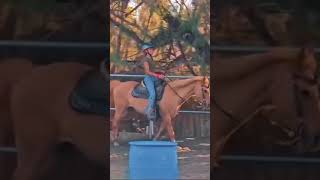 Not the browband 😭 canter slowmo edit capcut horse equestrian [upl. by Giovanni]