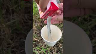 Pouring Milk into a Glass Without a Straw camping survival outdoors bushcraft shorts [upl. by Rogozen]