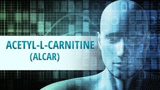 AcetylLCarnitine ALCAR [upl. by Edmee874]