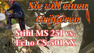 Motorsägenvergleich  Stihl MS 251  Echo CS501 SX  Die Sägen fürs Bäume fällen [upl. by Nainatrad]