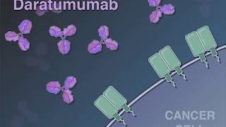 Treating Newly Diagnosed Myeloma [upl. by Xyla217]