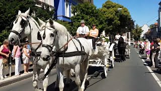 Iserlohn Schützenfest 2018  Festumzug am 8 Juli 2018 zur Alexanderhöhe  der ganze Festumzug [upl. by Salahcin]