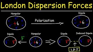 London Dispersion Forces amp Temporary Dipole  Induced Dipole Interactions  Intermolecular Forces [upl. by Collins]