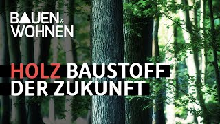 Hausbau Fünf Gründe für Holz als Baustoff  BAUEN amp WOHNEN [upl. by Risley]