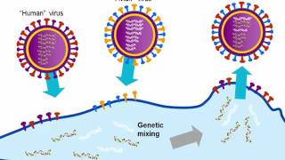 Influenza An Update on the Disease and Laboratory Diagnosis Hot Topic [upl. by Analat]