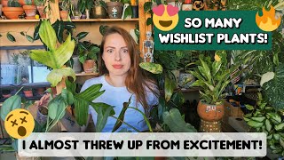 I almost passed out while unboxing these plants Variegated Hoya Monstera Philodendron and more [upl. by Sholley672]