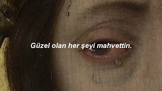 Billie Eilish  Happier Than Ever Türkçe Çeviri [upl. by Oidale]