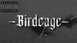 GODDAMN CRIMINAL  Birdcage [upl. by Airbas]