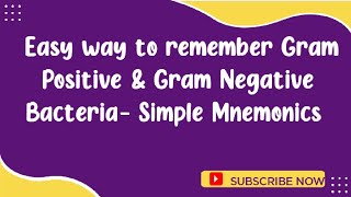 Easy way to remember Gram Positive amp Gram Negative Bacteria Mnemonics on Bacteria [upl. by Ttelrats]