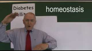 Diabetes 2 Blood Glucose Homeostasis [upl. by Yhtur]