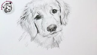 Tips y Trucos de Dibujo con Lapiz  Cómo Dibujar un Perro audio completo y mejorado [upl. by Evy]